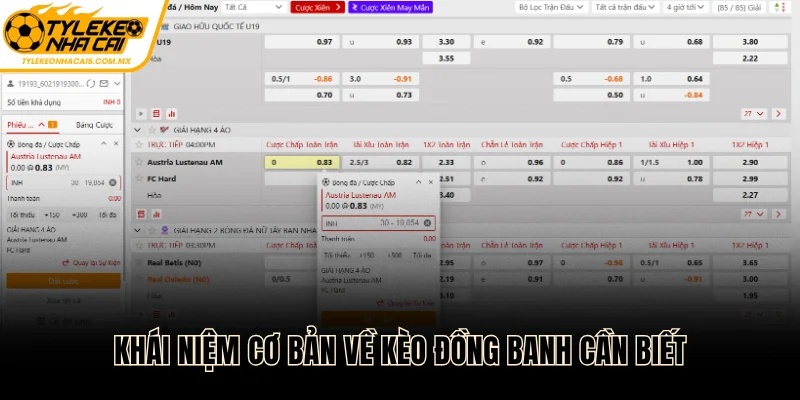 Khái niệm cơ bản về kèo đồng banh cần biết